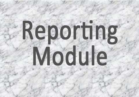 Reporting Module
